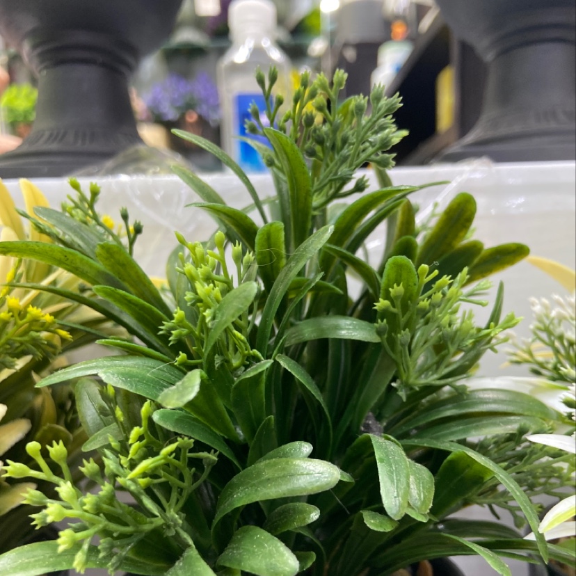 仿真小植物