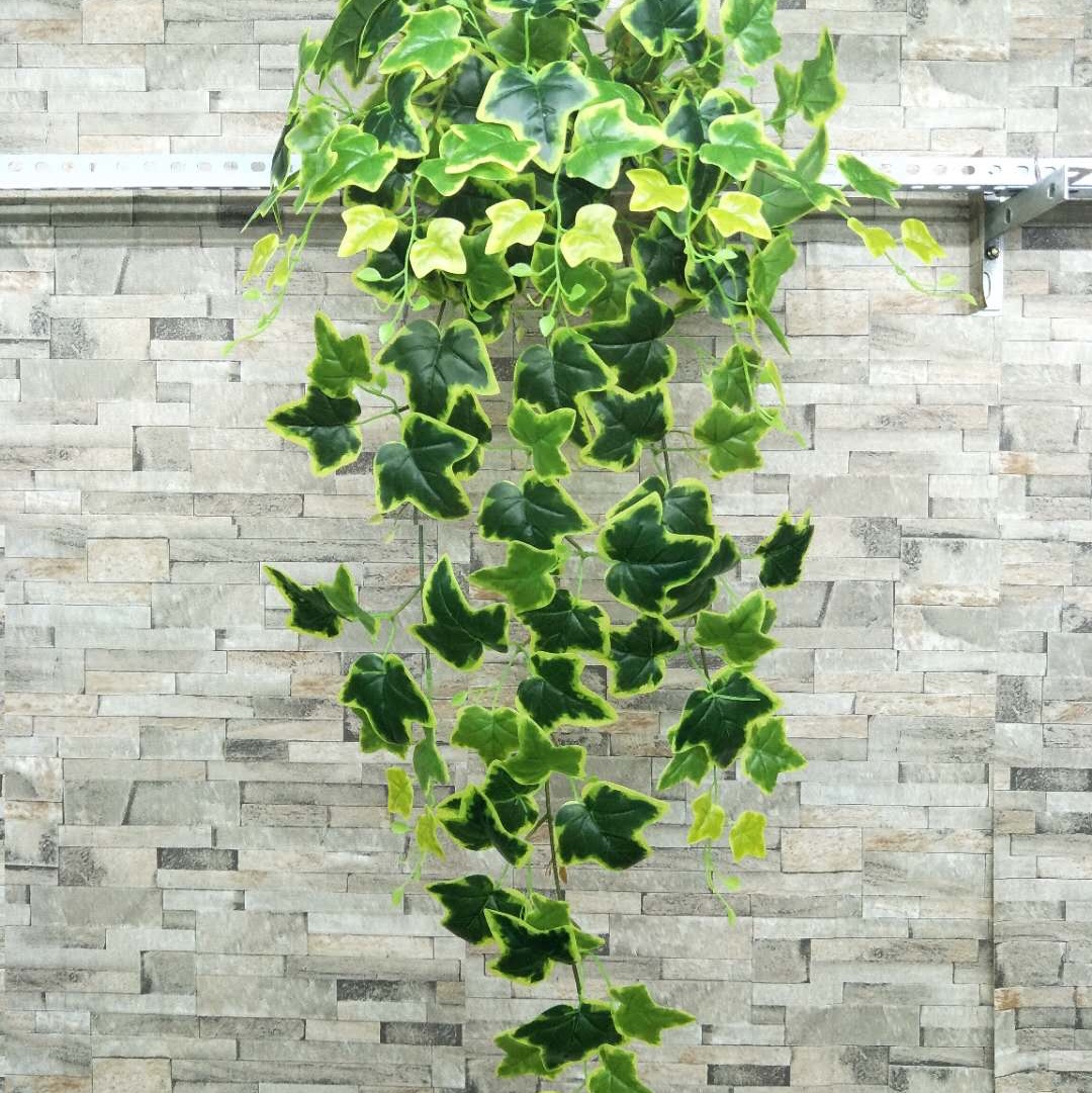 地瓜叶