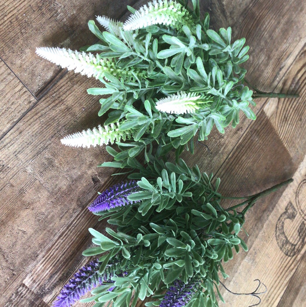 Lavender with whiskers details Picture