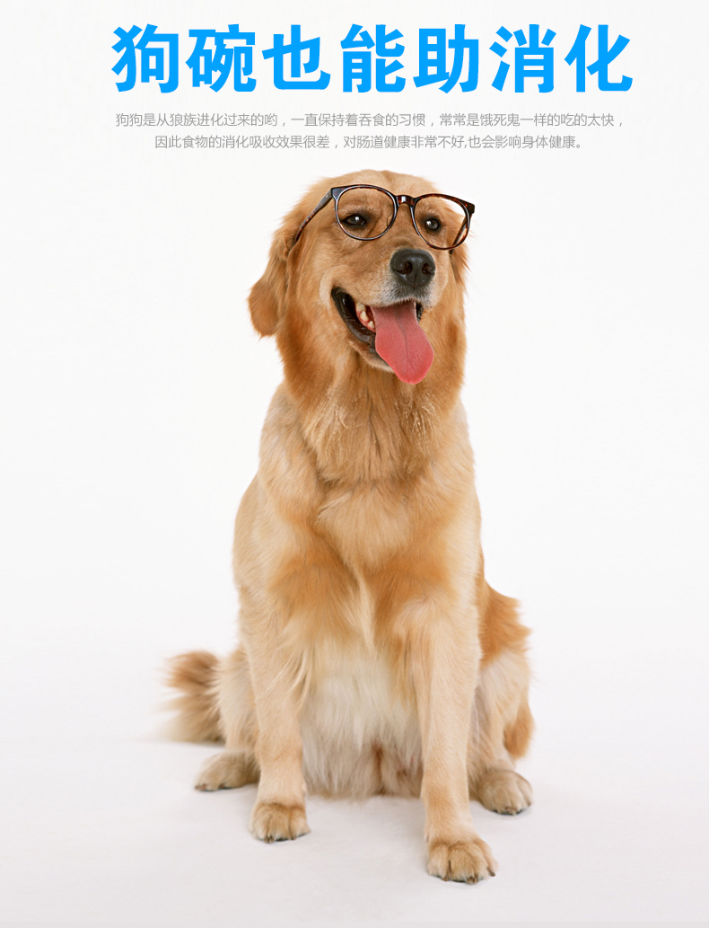 Dougez/多格斯新款狗狗防噎慢食碗 益智狗猫碗 彩盒包装 宠物用品详情图1