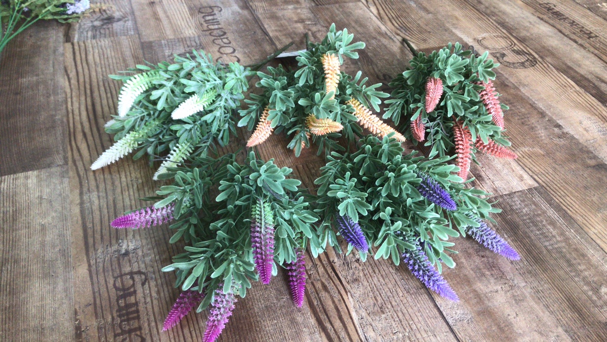 Lavender with whiskers