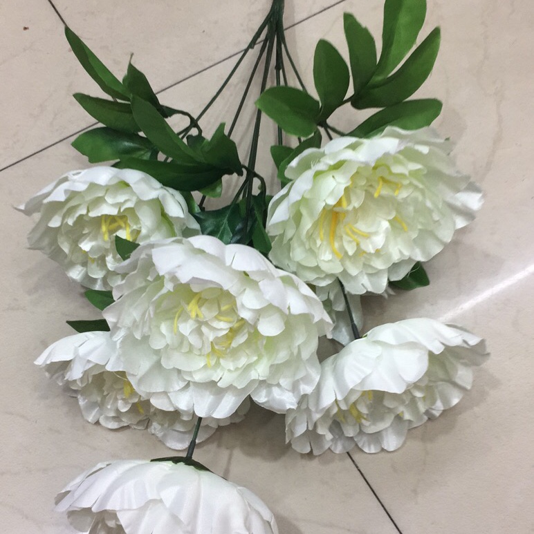 7头粗杆特大牧丹