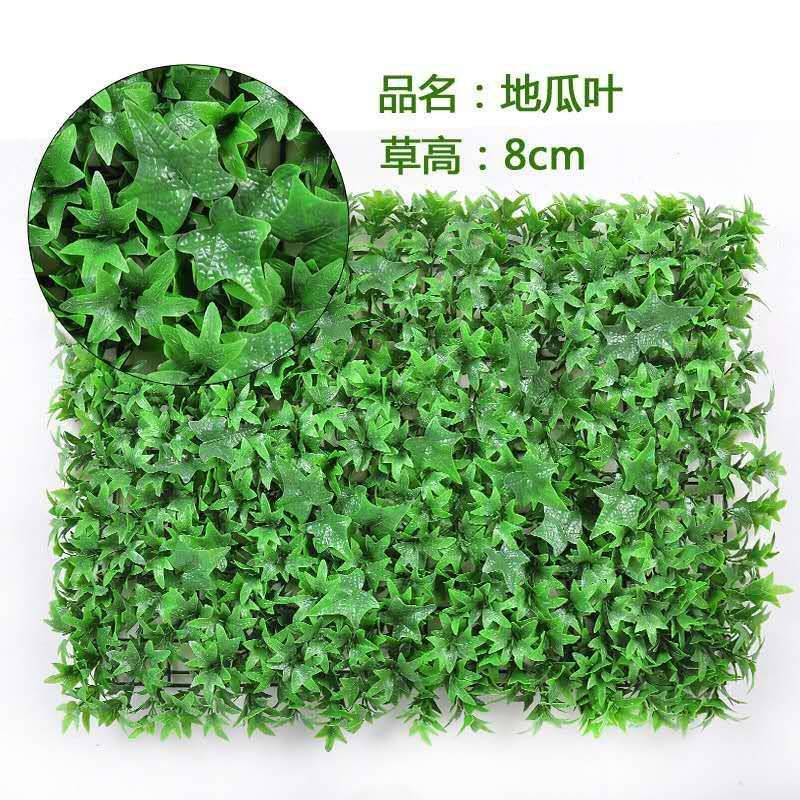 Sweet Potato Lawn