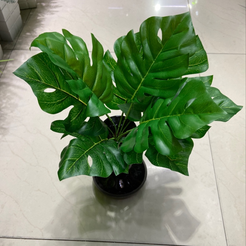 MJZ一6A，9头胶布，32cm长