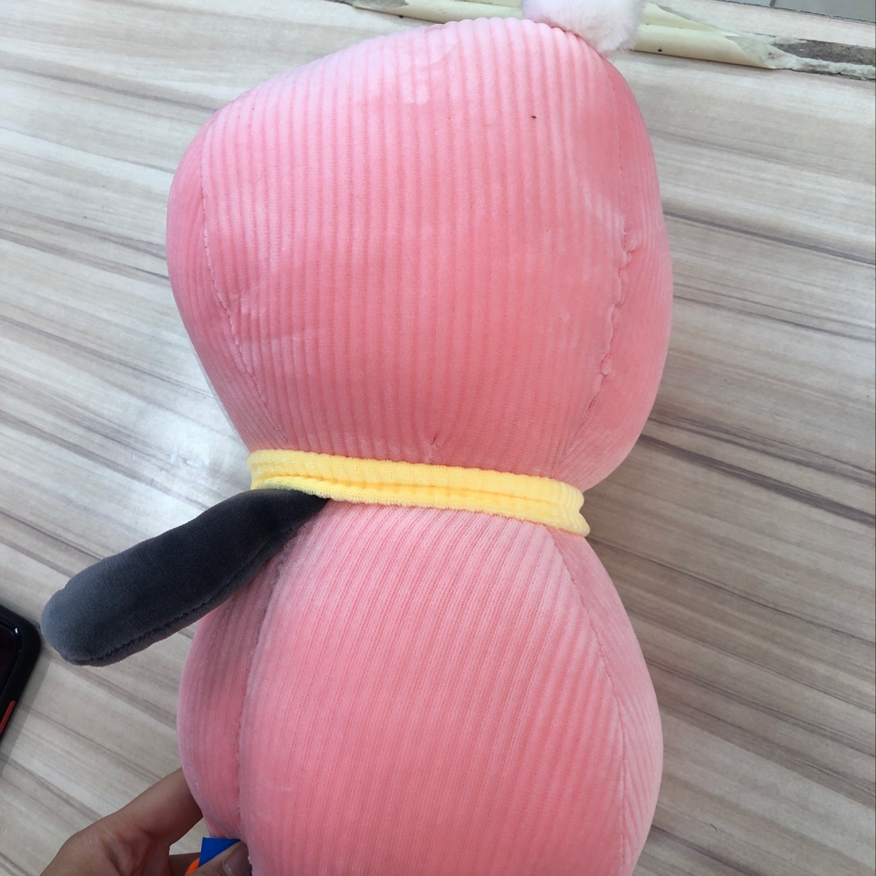 Down penguin details Picture