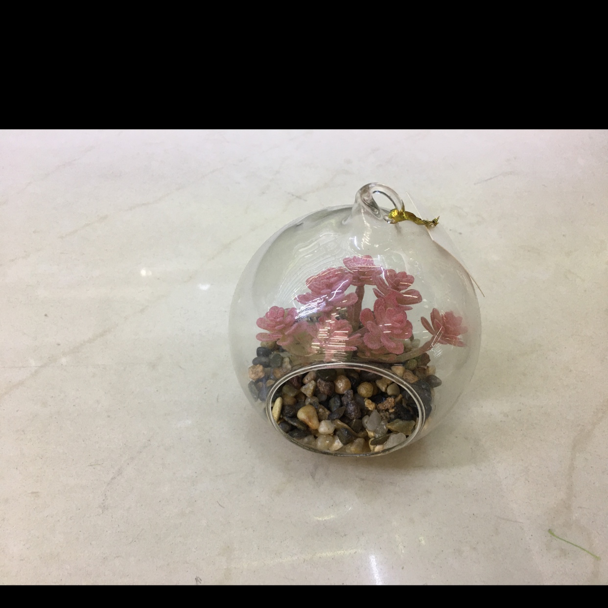 وضع قطع صغيرة من الزجاج الزجاجي للنباتات متعددة اللحم في شكل لوحات زيتية لزخرفة بحجم 10 كرات details Picture
