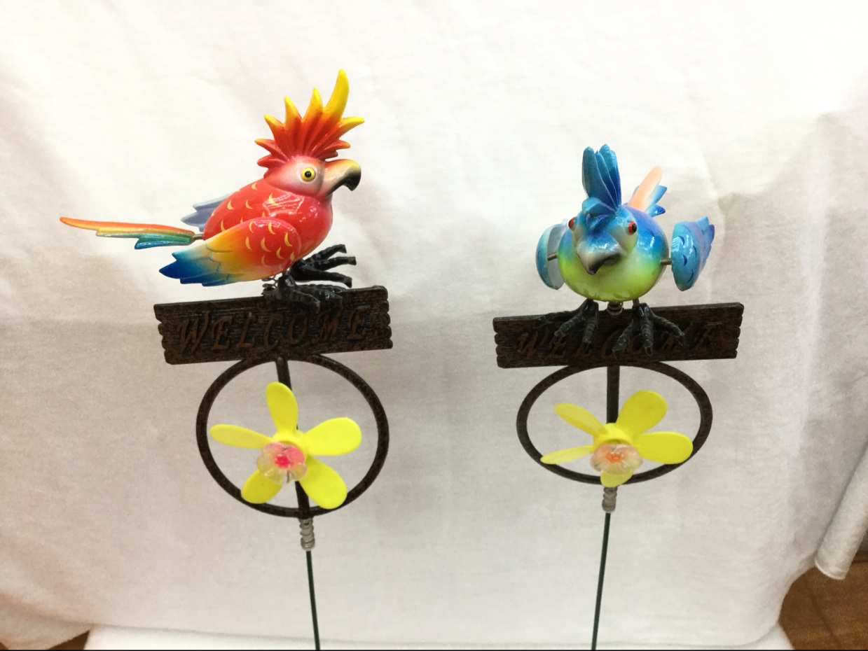 Welcome Pinwheel cockatoo