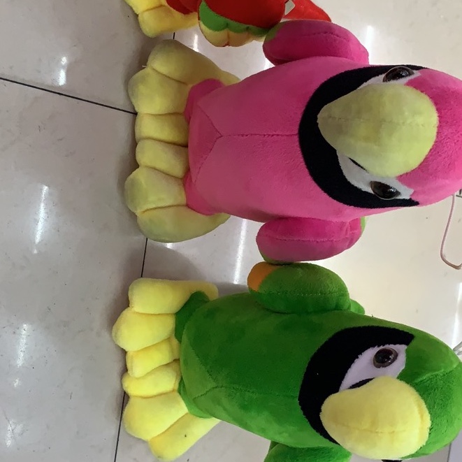 彩色鹦鹉