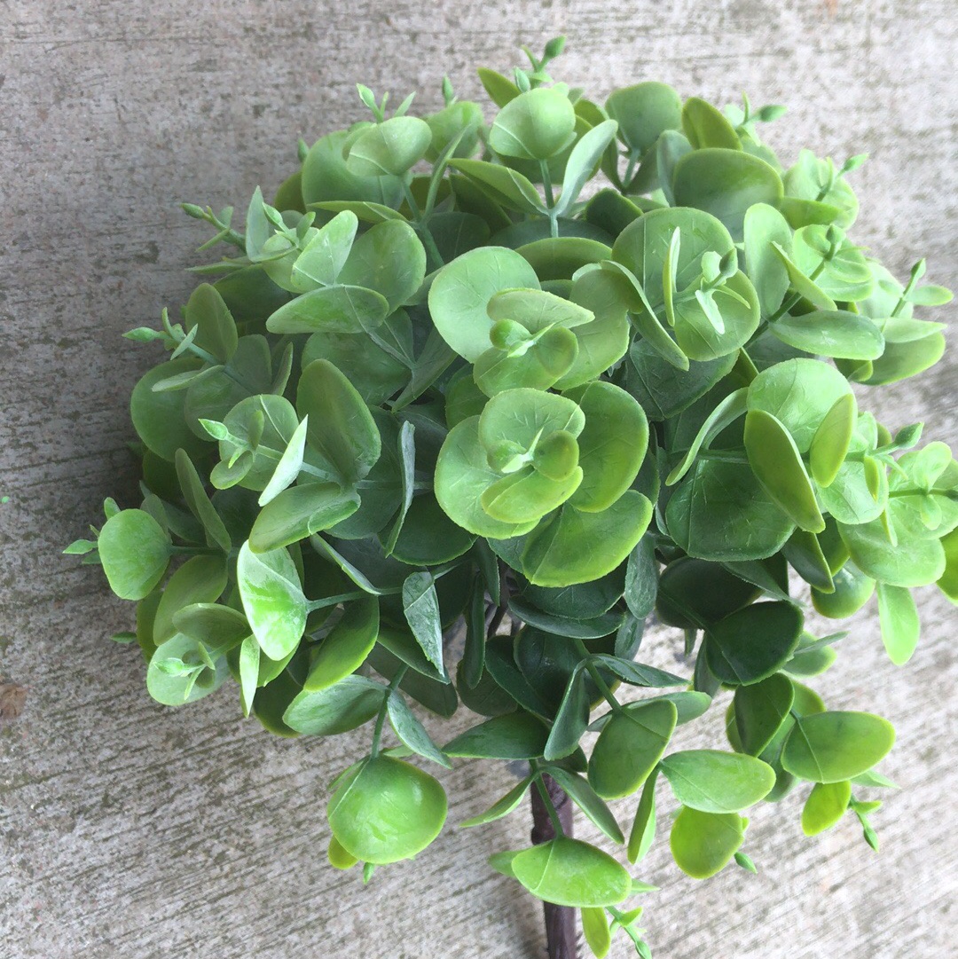 Simulated eucalyptus tree trunks details Picture