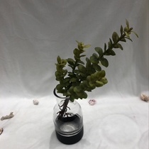 Yiwu good goods modern simple glass vase light luxury plating translucent decoration home TV cabinet table flower