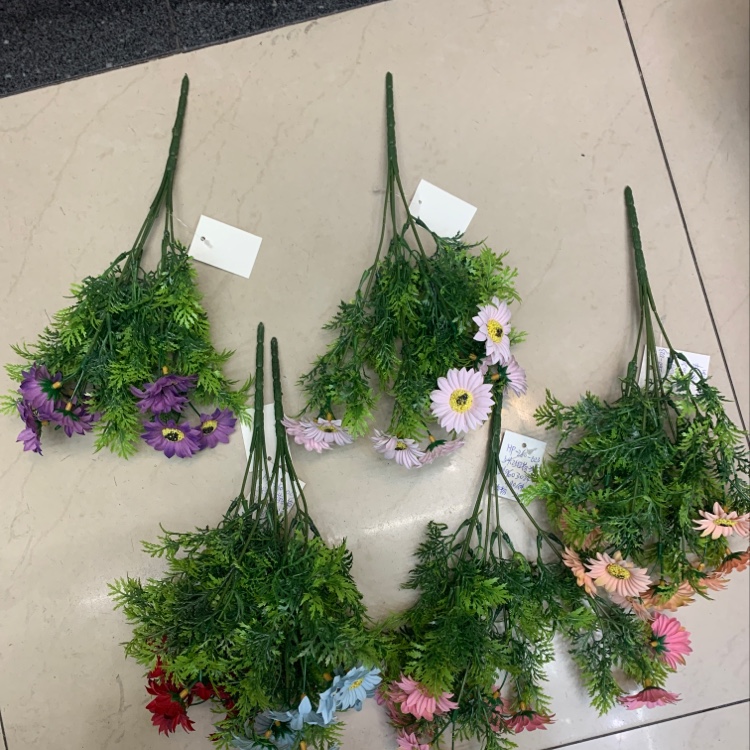 5 Heads Of Dutch Chrysanthemum