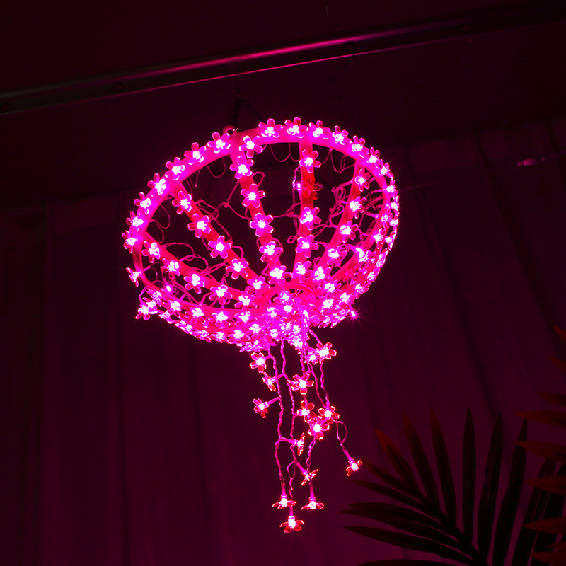 彩灯/造型白底实物图