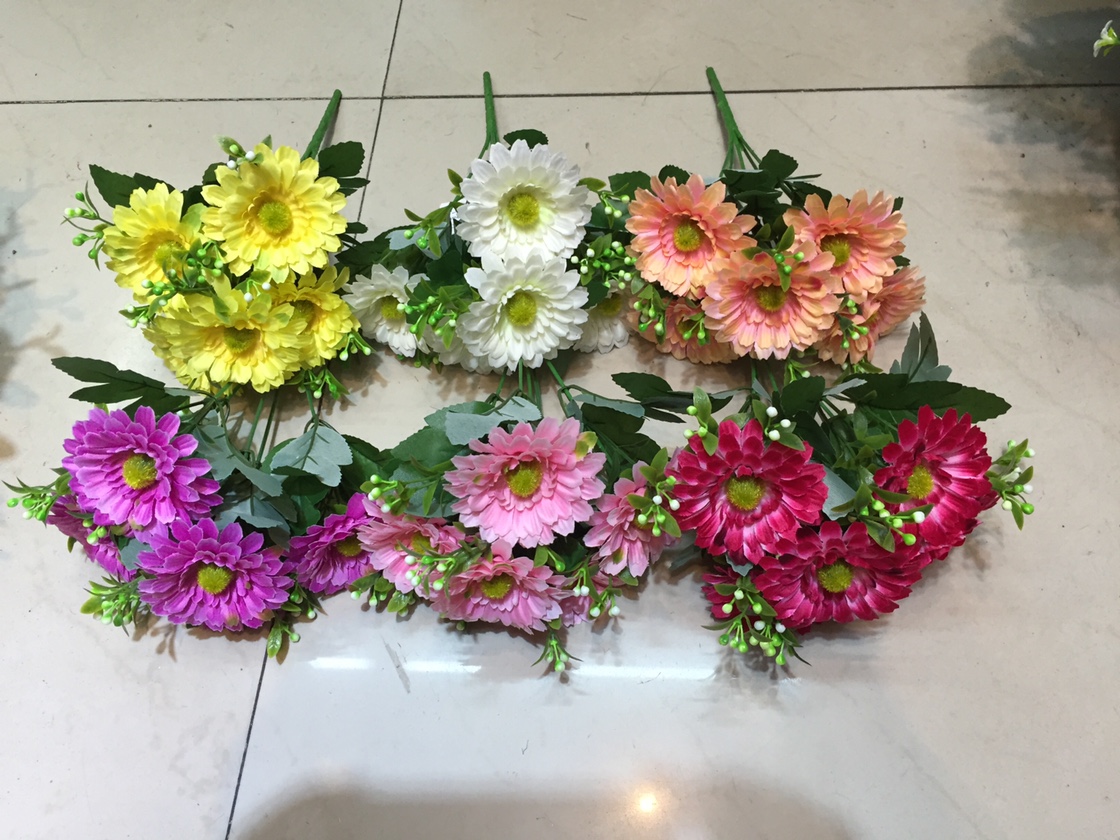 Five multicolored chrysanthemums