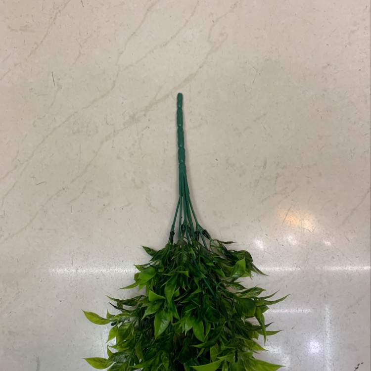 Seven Forks Of Five-Layer Grass