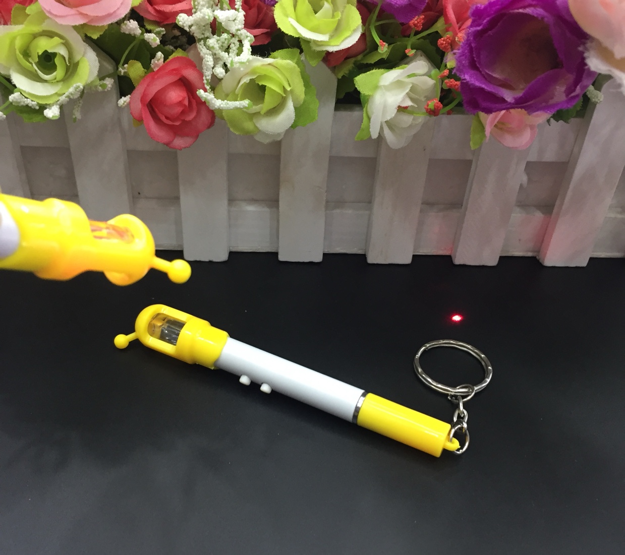 激光笔实物图