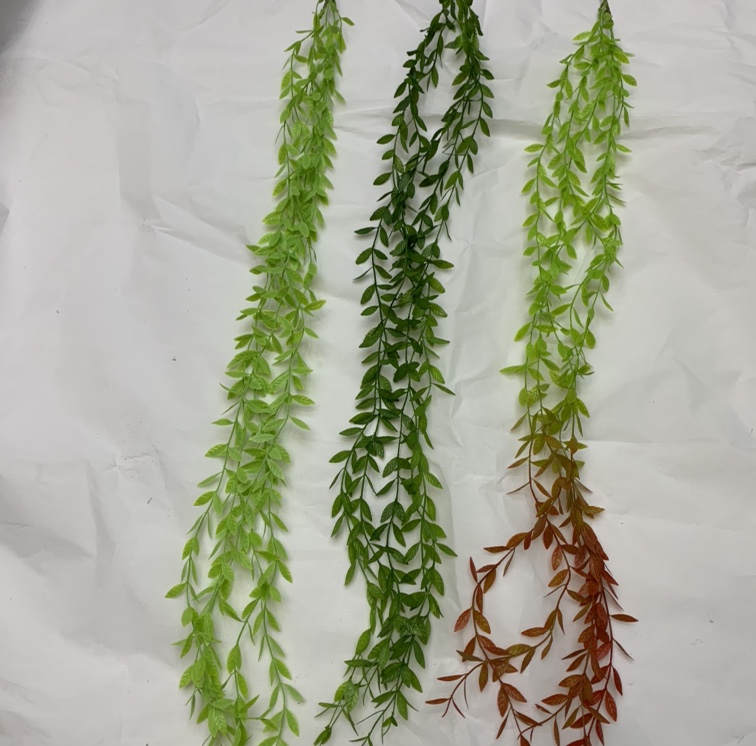 5 Willow Leaves