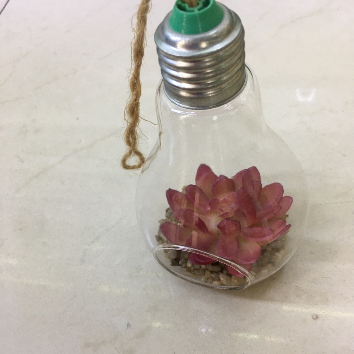 仿真多肉植物玻璃景观 微景观摆件 家居摆放件 房间装饰挂件