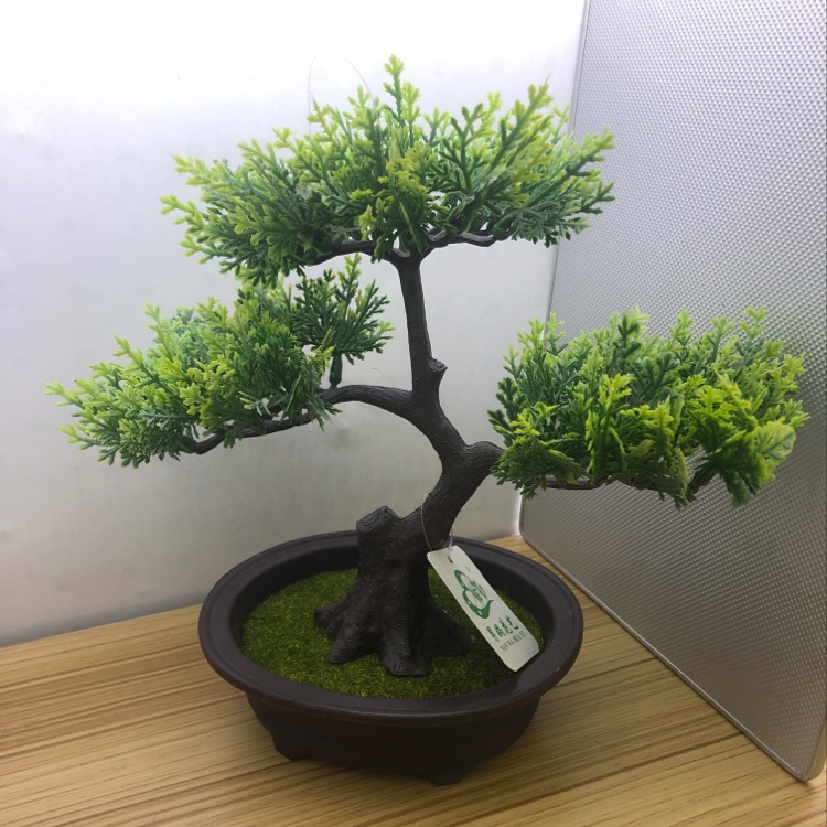 盆栽花卉盆景