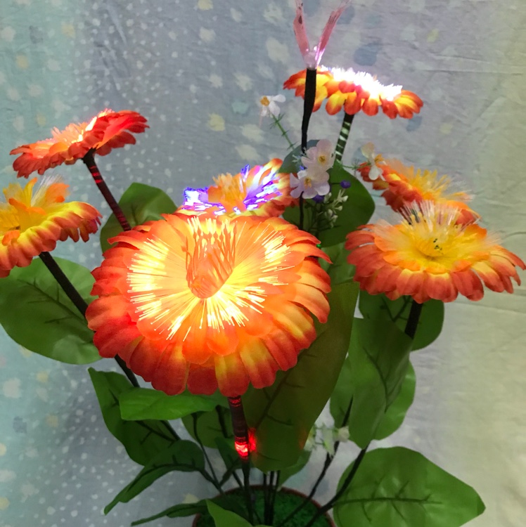 光纤花1