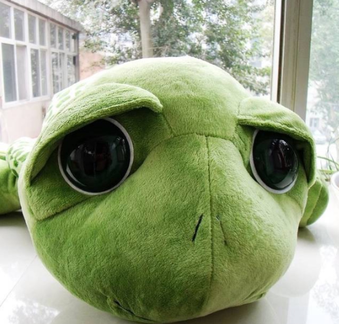 Direct sales from the manufacturer of plush toys, dolls, and big-eyed sea turtles Item Picture
