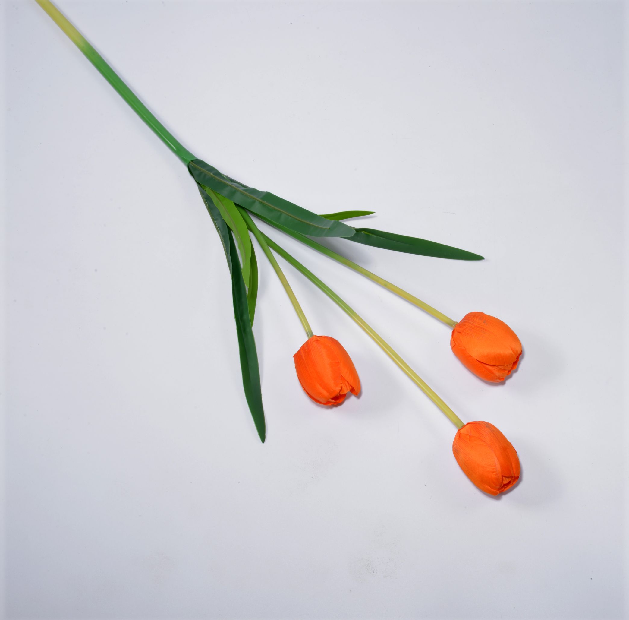 [Spot] 3 tulips - orange thumbnail
