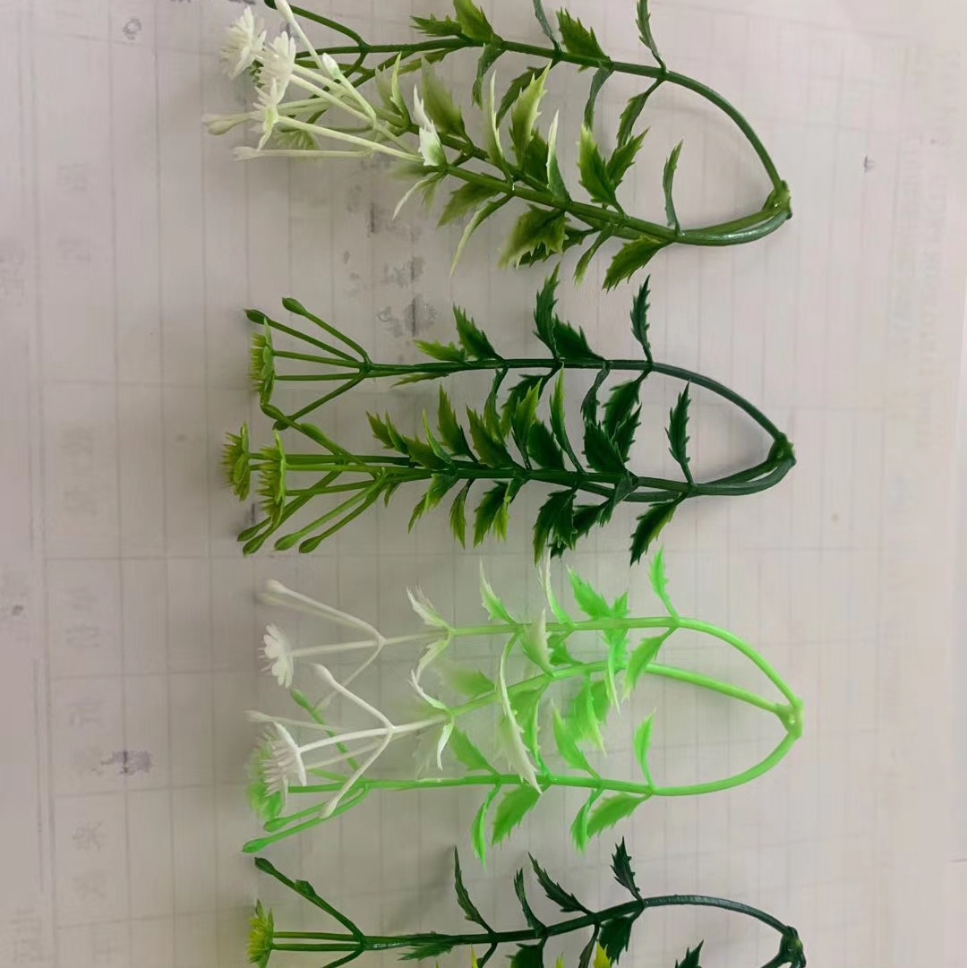 水草