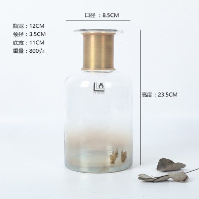 North Wind InS-style light luxury copper ring gradient color glass vase simple and creative flower arrangement wholesale in stock undefined