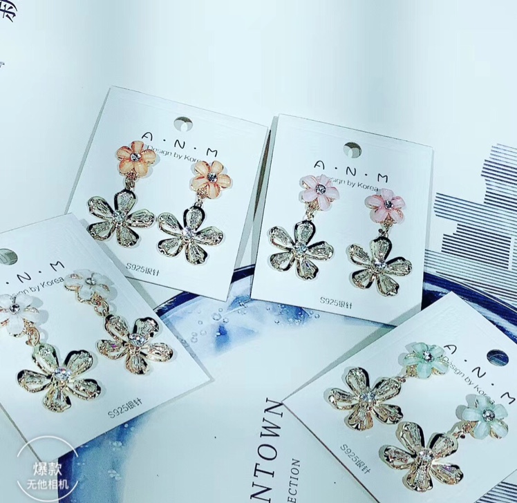 Earrings 21