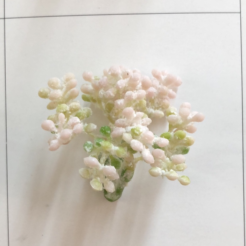 米翠果