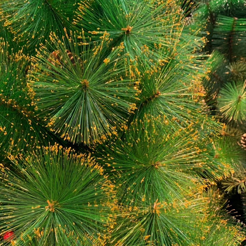 Yiyang Christmas Craft 45cm Flower basket, Golden Powder Family Pine Needle Tree Bare Tree Christmas flowers Application Scenario