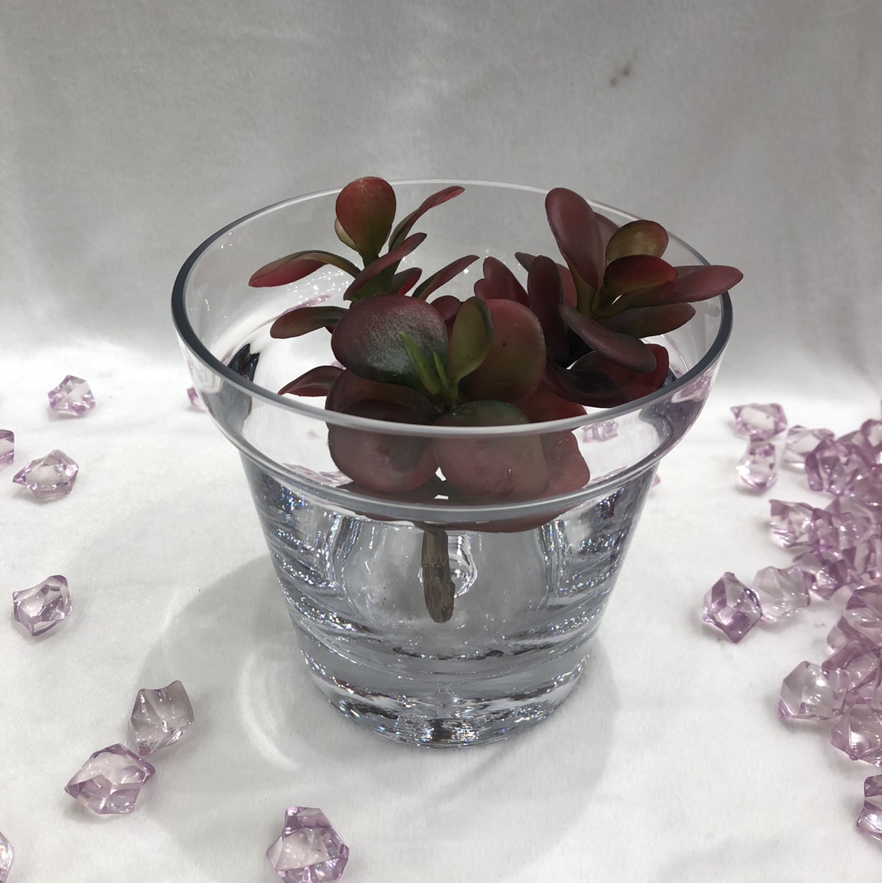 Hydroponic succulent clear glass bottle living room dry flower candle flower