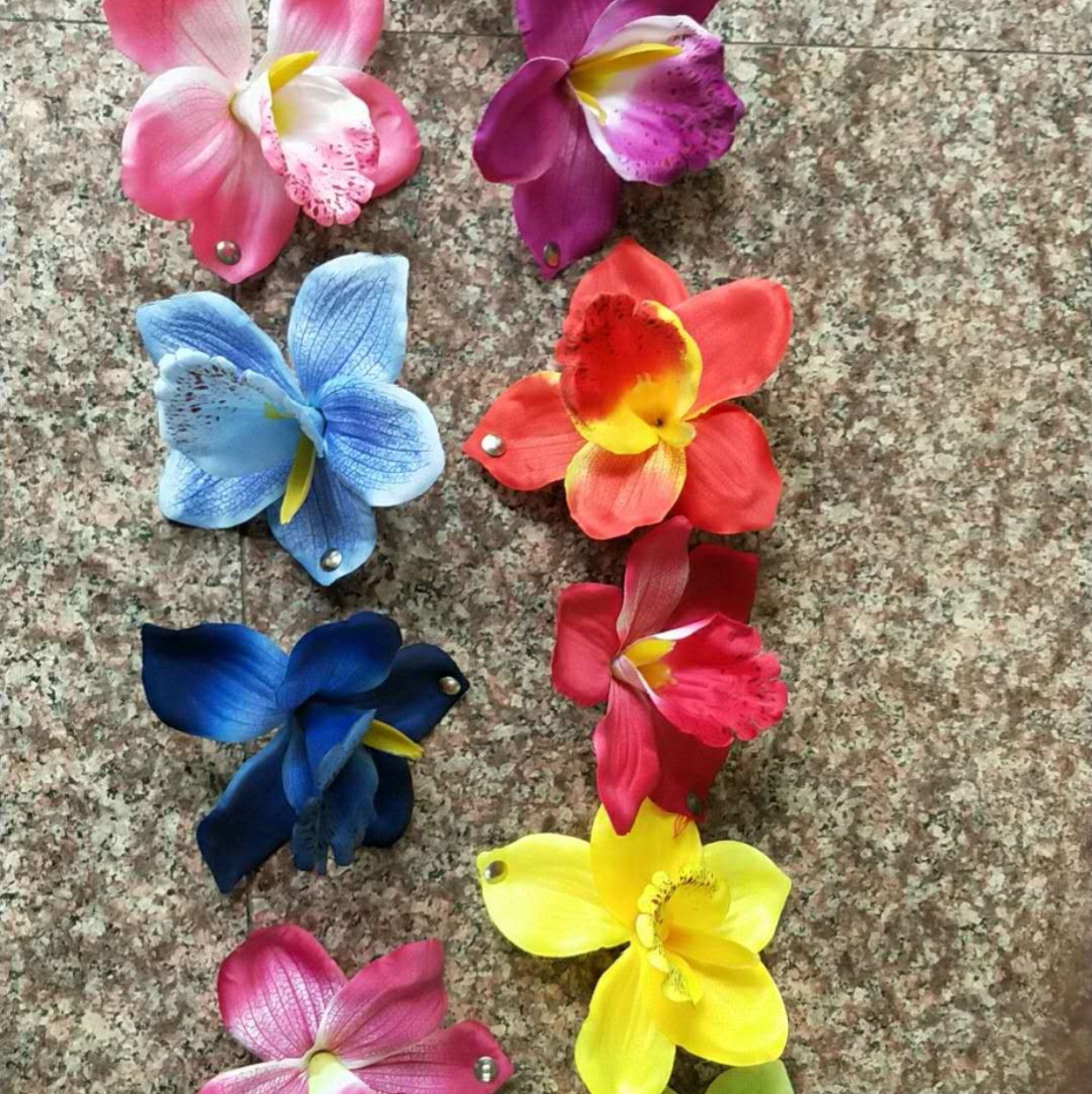 Flower Orchid
