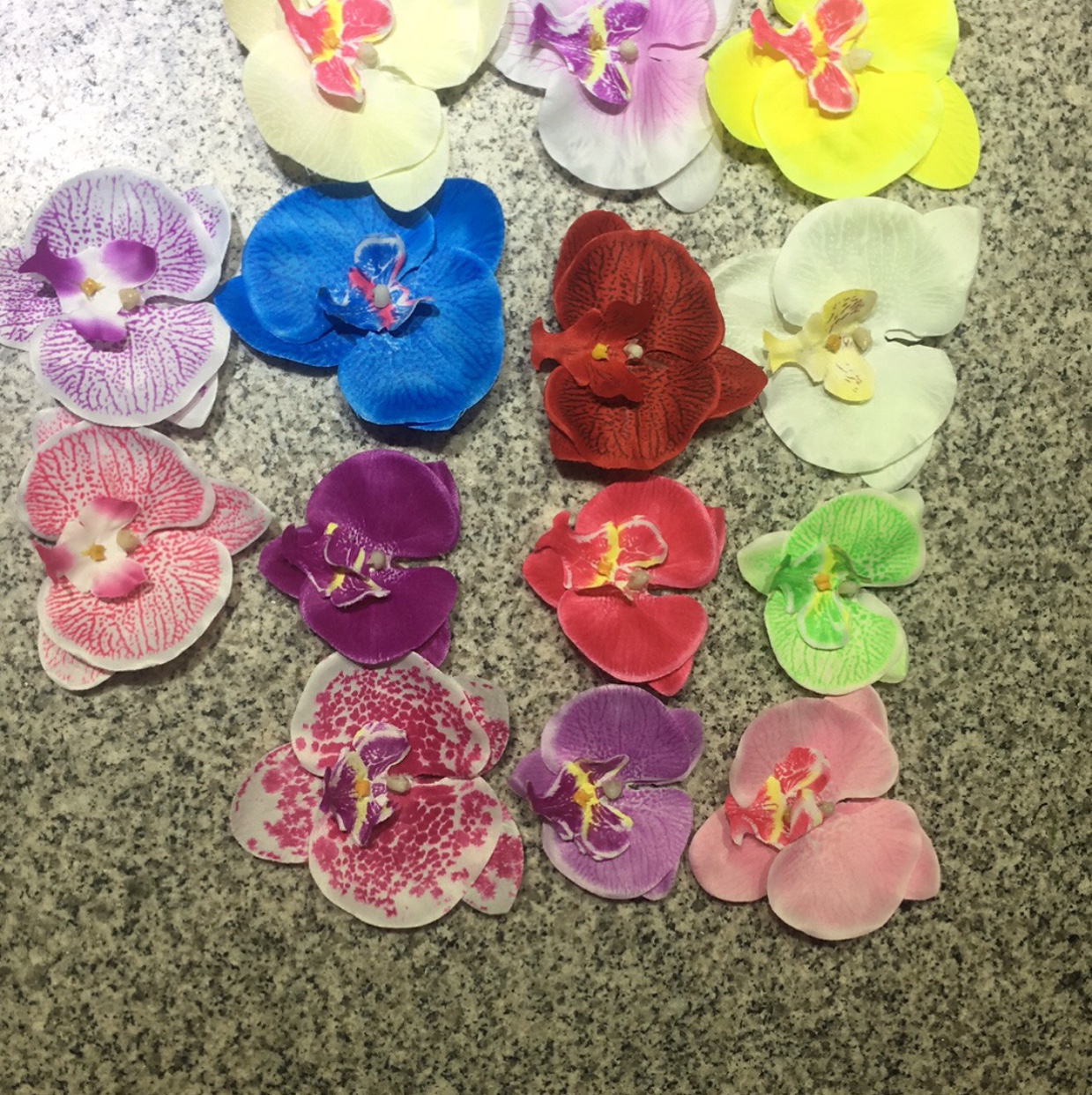 Phalaenopsis Flower Head details Picture