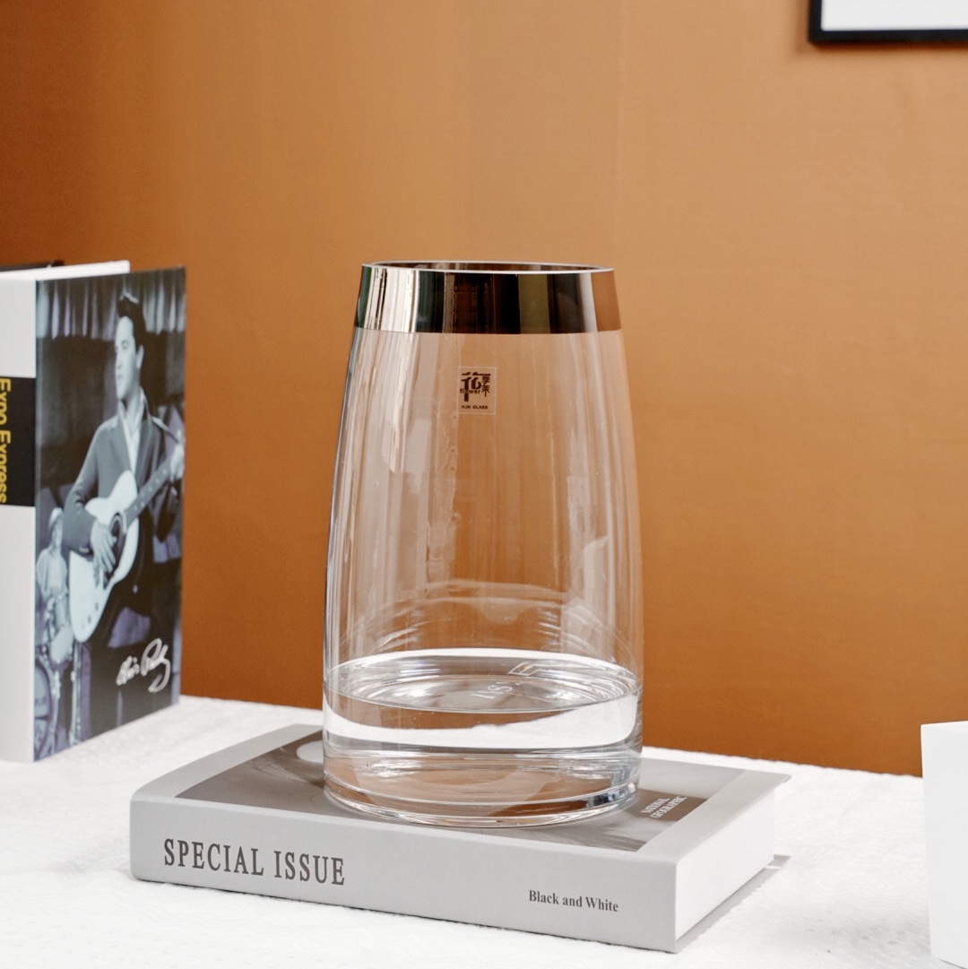 Modern, simple and light luxury style, transparent glass vase with a closed edge, living room decoration, lucky bamboo creative flower arrangement decoration, factory direct sales and wholesale Application Scenario