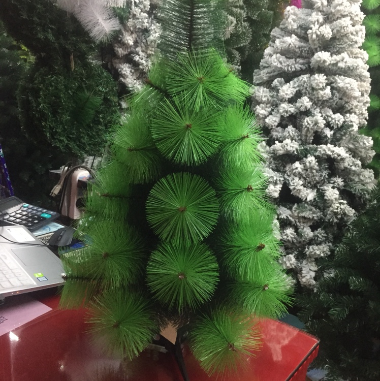 90 centimeters of tender pine details Picture