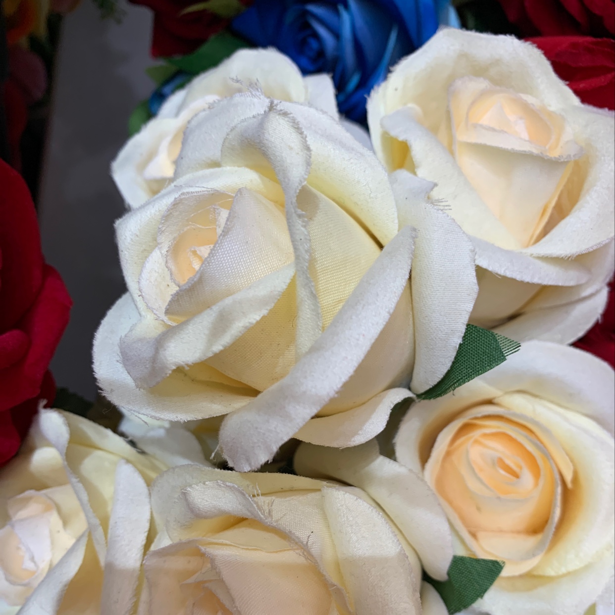 Rose D thumbnail