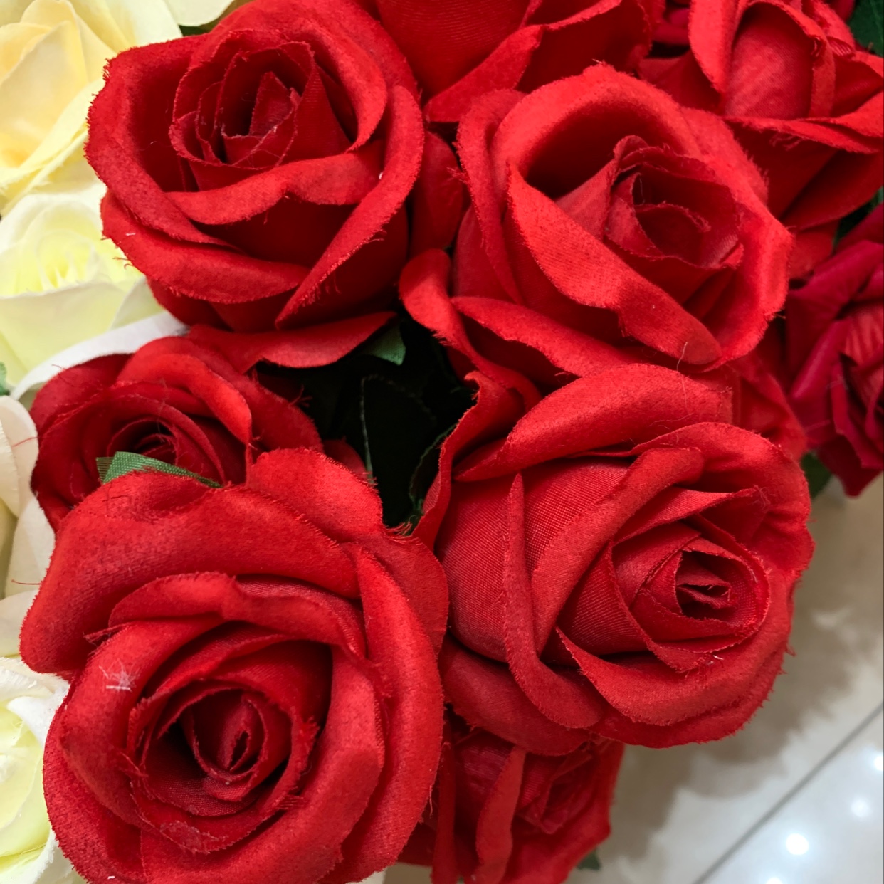 Rose B thumbnail