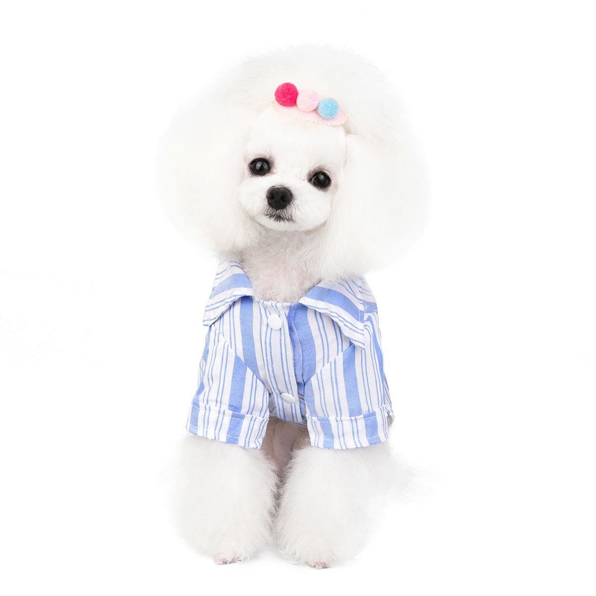 New spring/Summer pet clothes puppy clothes dog clothes Pet style shirt small dog clothes Teddy