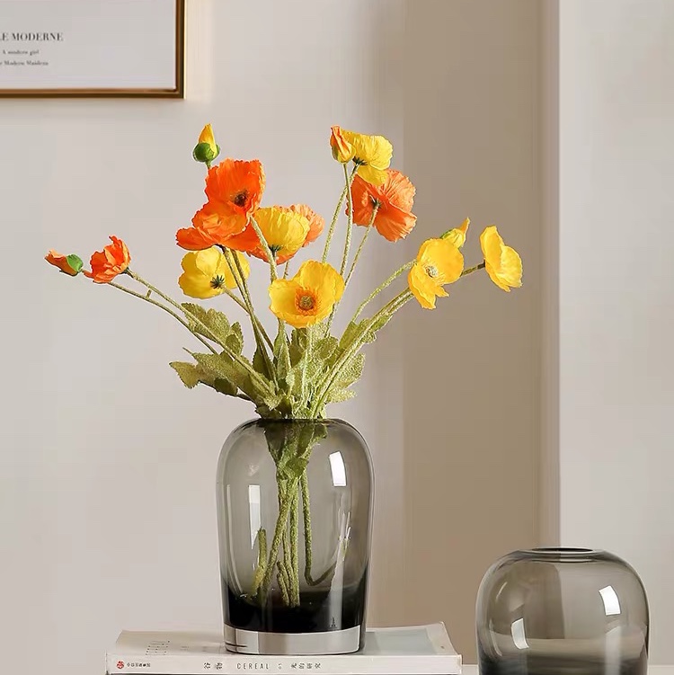 Direct sales and wholesale of Nordic simple transparent glass vases, fresh and clean decorative items for dining tables, bedside tables and bathroom flower arrangements Specification image