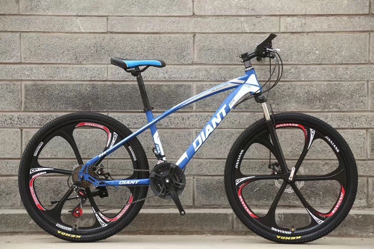 Mountain Bike Adult Bike