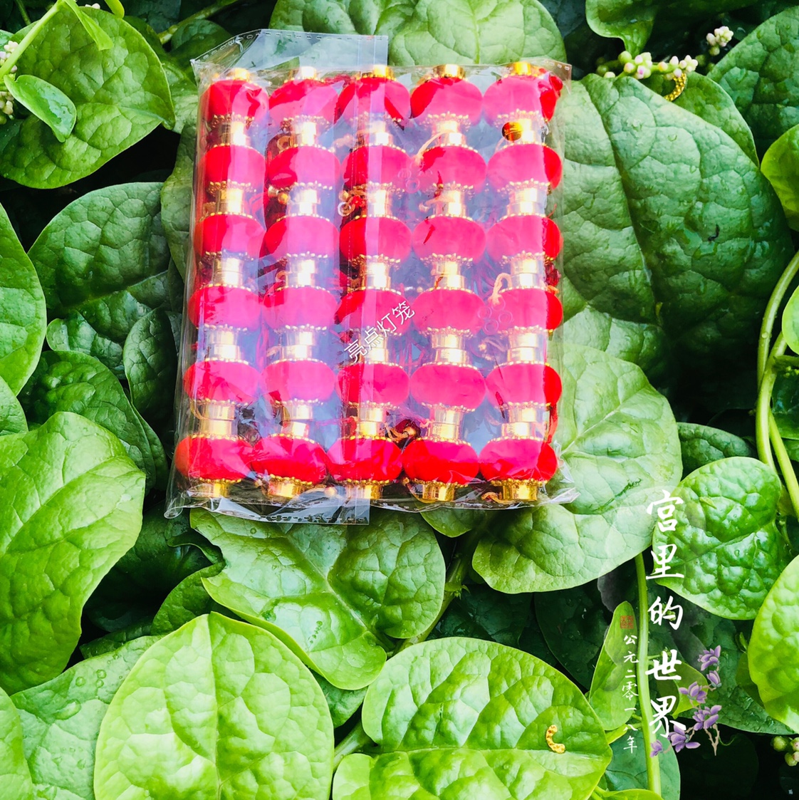 4#植绒灯笼产品图