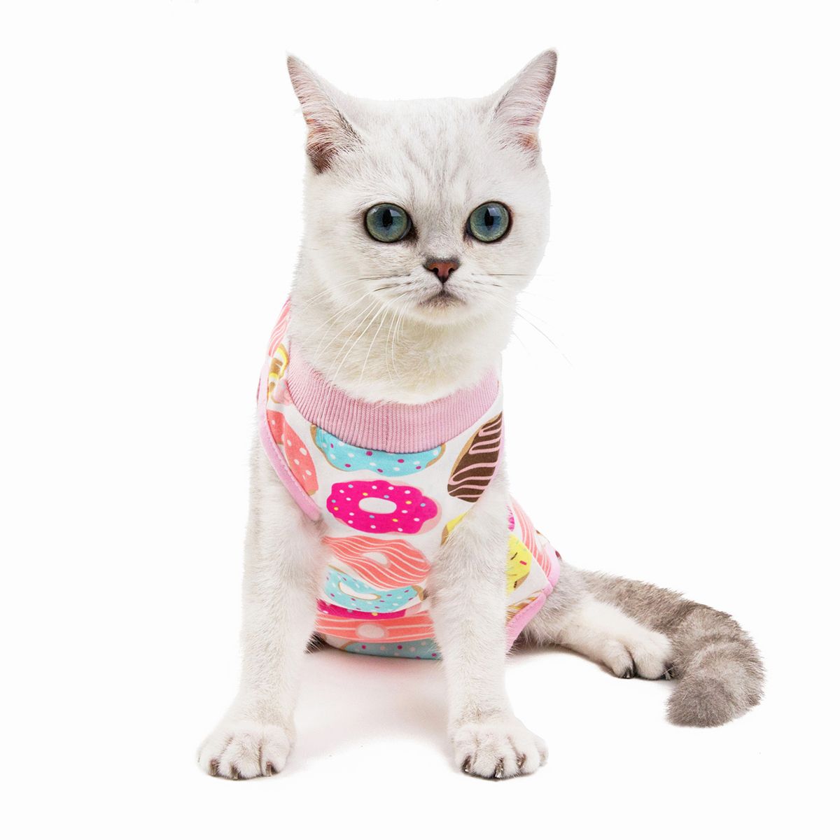 新款猫咪绝育服母猫断奶服术后狗狗衣服皮肤病防挣脱防舔宠物用品