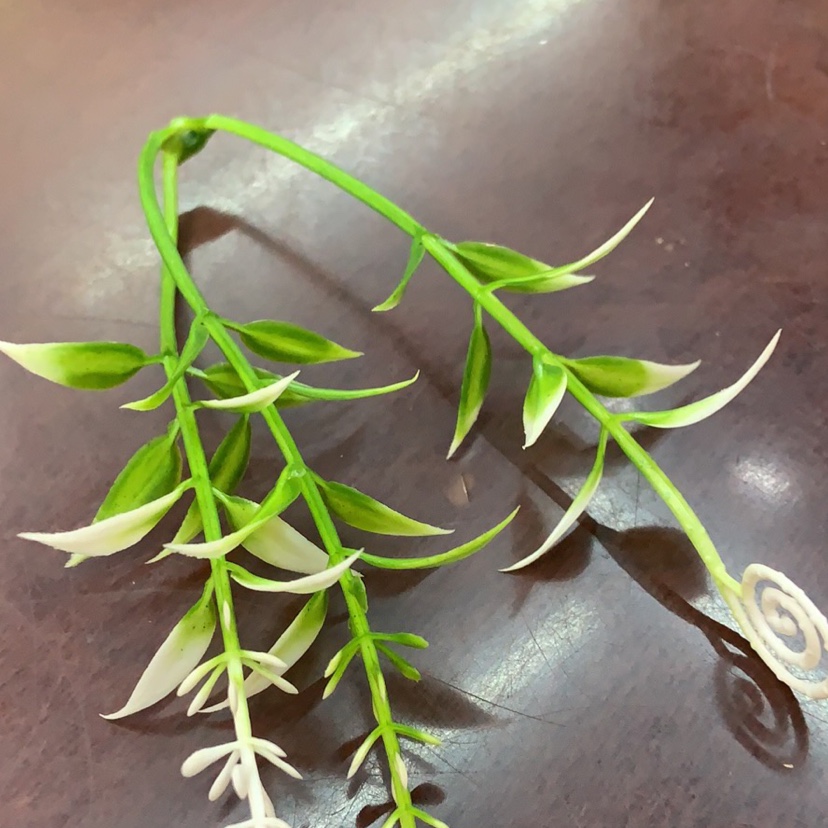 Grass flowers include