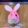 粉兔女款三件套有白色和粉色两色产品图