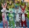 兔八哥人偶服活动表演复活节玩偶公仔演出兔子成人行走道具衣服图