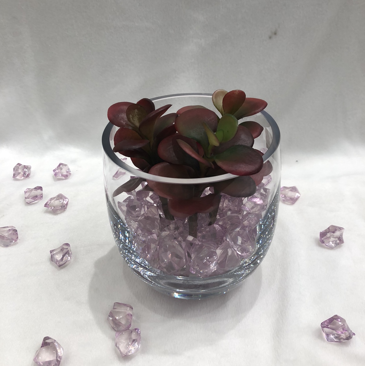 Hydroponic plants Succulents Clear glass vase for living room dried flowers flower container