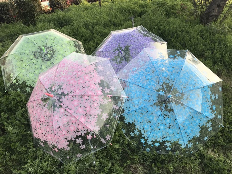 透明樱花伞