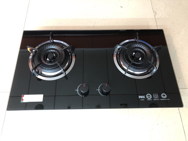 Embedded pulse glass panel with twin burner gas cooker