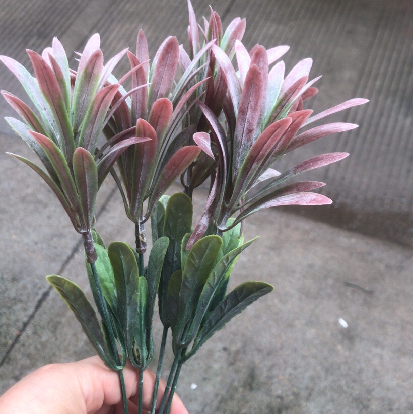 Five grasses details Picture