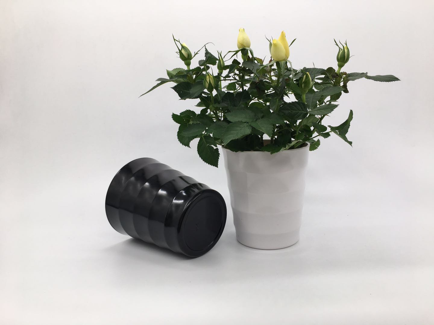 Factory direct plastic flowerpot Y06 melamine flowerpot Plastic flowerpot imitation porcelain flowerpot thumbnail